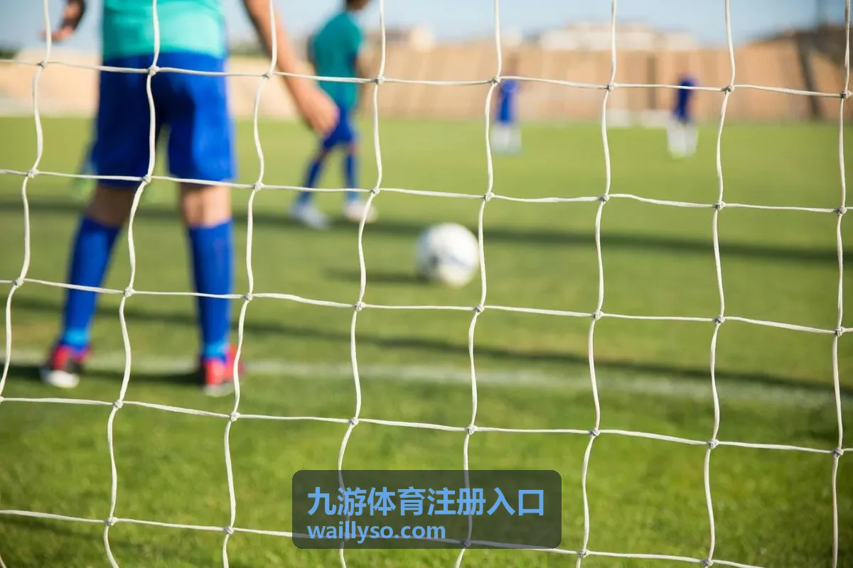 九游体育注册入口操作演示画面
