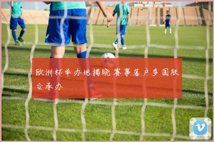 欧洲杯举办地揭晓 赛事落户多国联合承办