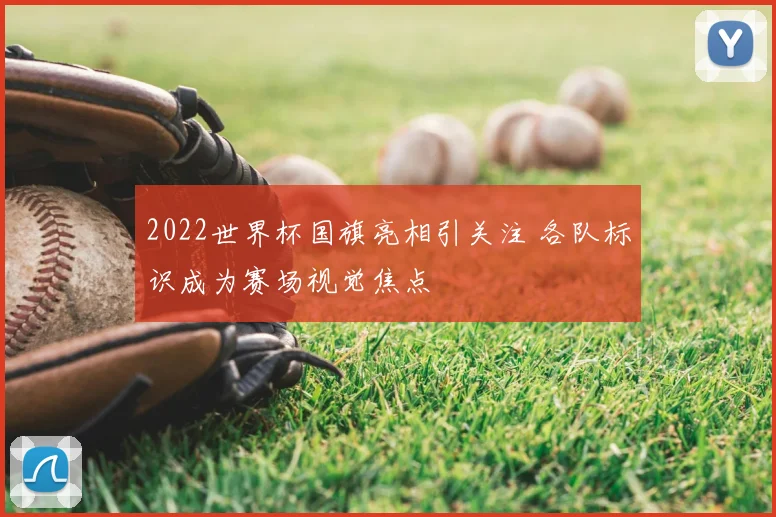 2022世界杯国旗亮相引关注 各队标识成为赛场视觉焦点