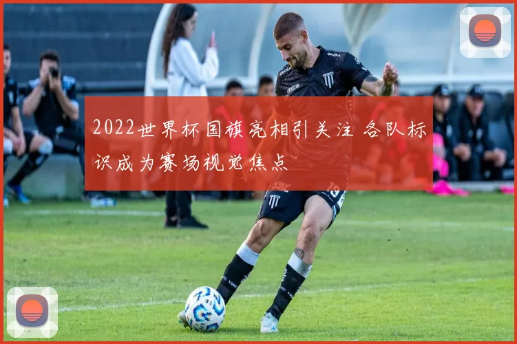 2022世界杯国旗亮相引关注 各队标识成为赛场视觉焦点