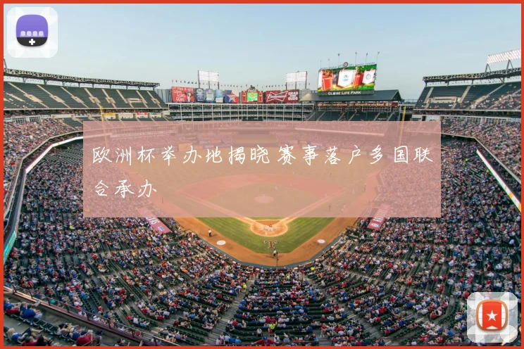 欧洲杯举办地揭晓 赛事落户多国联合承办