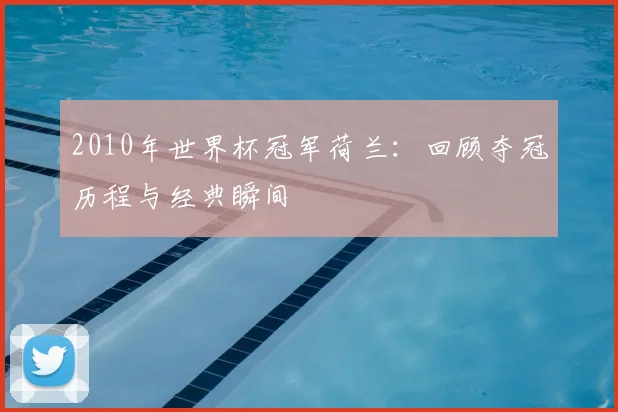 2010年世界杯冠军荷兰：回顾夺冠历程与经典瞬间