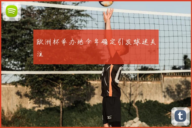 欧洲杯举办地今年确定引发球迷关注