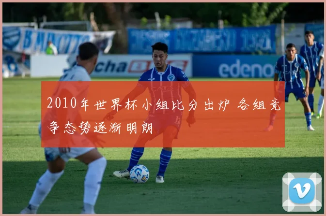 2010年世界杯小组比分出炉 各组竞争态势逐渐明朗