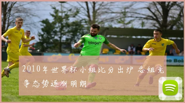 2010年世界杯小组比分出炉 各组竞争态势逐渐明朗