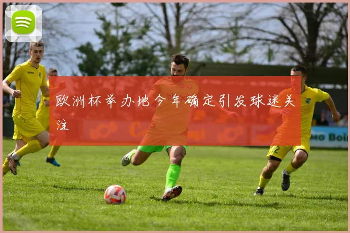 欧洲杯举办地今年确定引发球迷关注