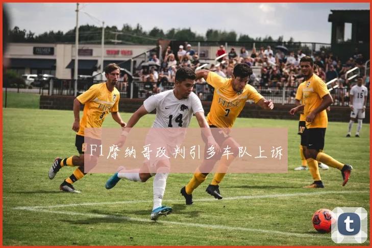 F1摩纳哥改判引多车队上诉