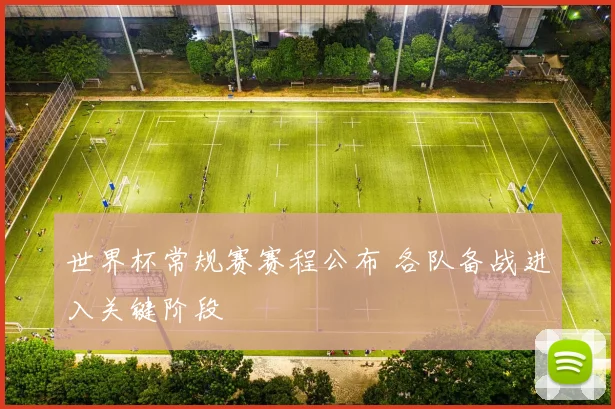 世界杯常规赛赛程公布 各队备战进入关键阶段
