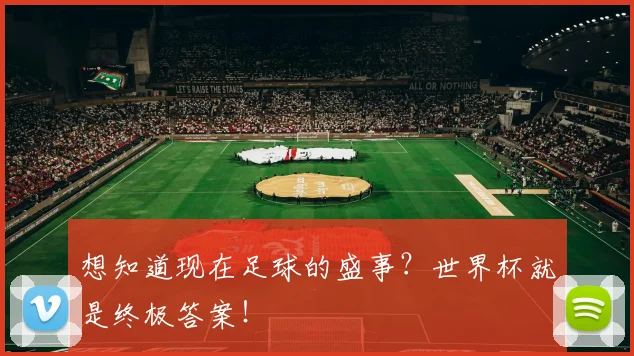 想知道现在足球的盛事?世界杯就是终极答案!