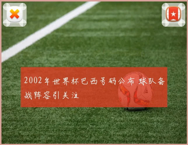 2002年世界杯巴西号码公布 球队备战阵容引关注