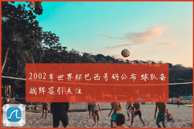 2002年世界杯巴西号码公布 球队备战阵容引关注