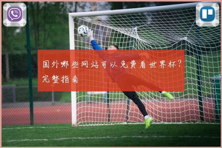 国外哪些网站可以免费看世界杯？完整指南