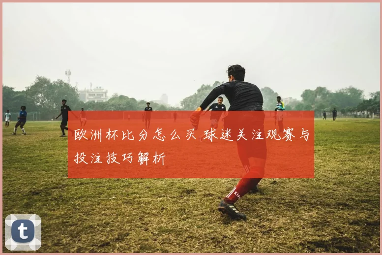 欧洲杯比分怎么买 球迷关注观赛与投注技巧解析