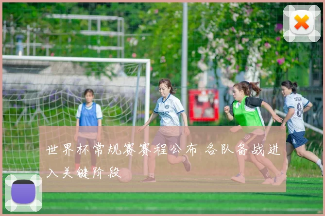 世界杯常规赛赛程公布 各队备战进入关键阶段